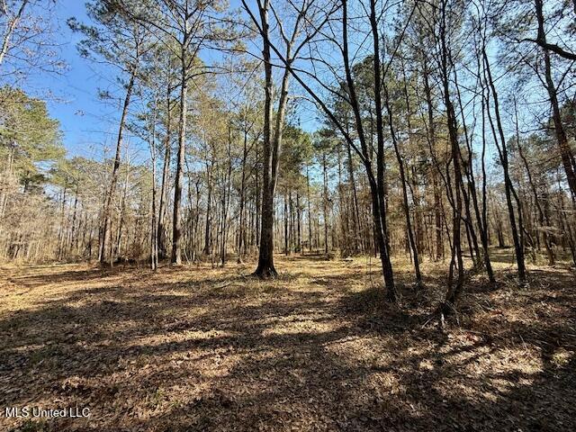 Northwest Boyd Trail Northwest Brookhaven, MS 39601 - Photo 46 of 59 IMG_7723