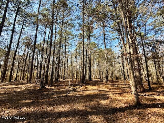 Northwest Boyd Trail Northwest Brookhaven, MS 39601 - Photo 47 of 59 IMG_7724
