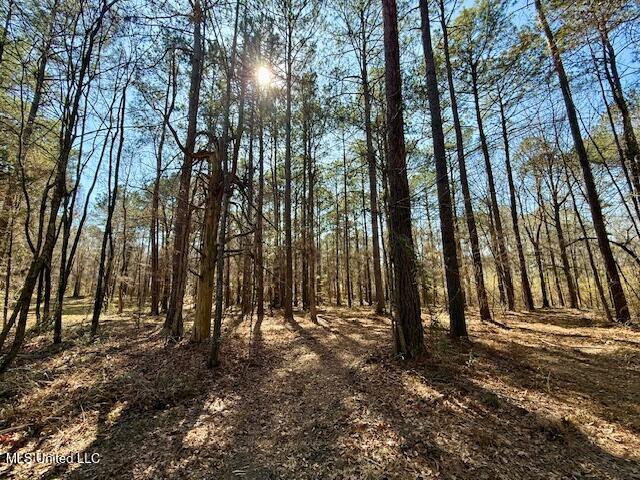 Northwest Boyd Trail Northwest Brookhaven, MS 39601 - Photo 48 of 59 IMG_7725