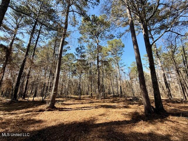 Northwest Boyd Trail Northwest Brookhaven, MS 39601 - Photo 49 of 59 IMG_7726