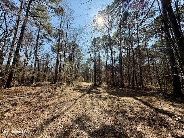 Northwest Boyd Trail Northwest Brookhaven, MS 39601 - Photo 50 of 59 IMG_7727