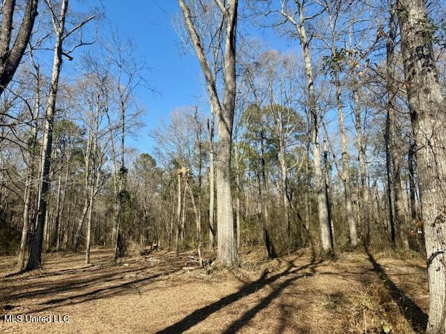 Northwest Boyd Trail Northwest Brookhaven, MS 39601 - Photo 5 of 59 IMG_7680