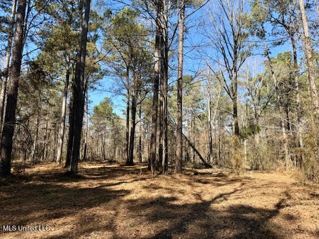 Northwest Boyd Trail Northwest Brookhaven, MS 39601 - Photo 51 of 59 IMG_7729