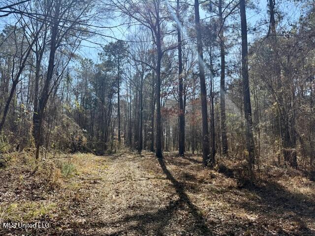 Northwest Boyd Trail Northwest Brookhaven, MS 39601 - Photo 52 of 59 IMG_7730