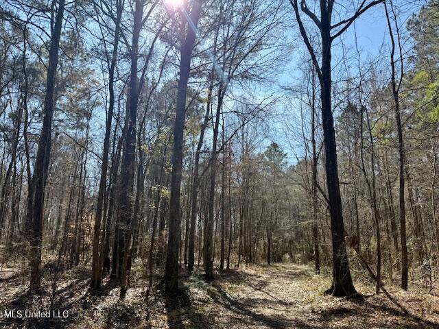Northwest Boyd Trail Northwest Brookhaven, MS 39601 - Photo 53 of 59 IMG_7731