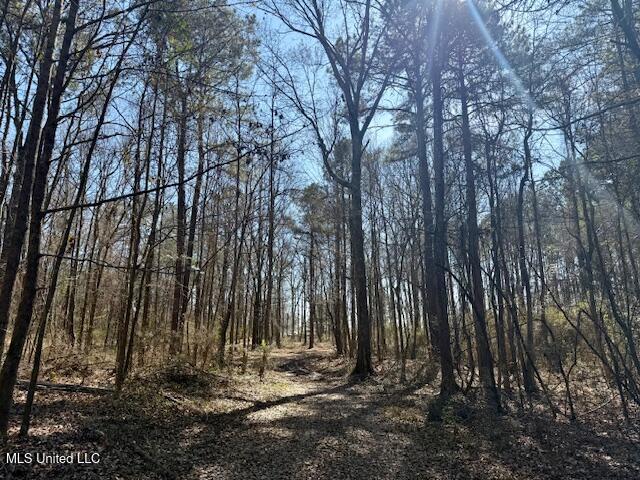 Northwest Boyd Trail Northwest Brookhaven, MS 39601 - Photo 54 of 59 IMG_7732