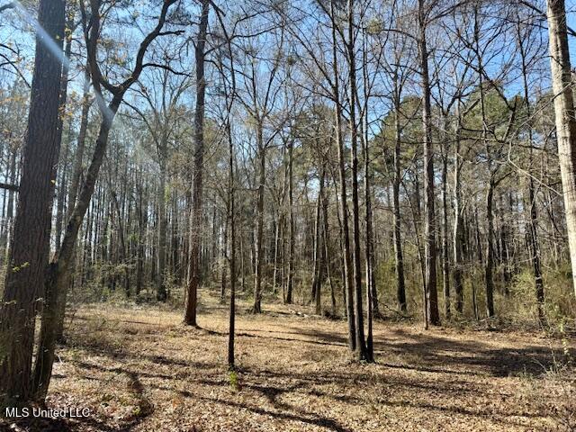 Northwest Boyd Trail Northwest Brookhaven, MS 39601 - Photo 55 of 59 IMG_7733