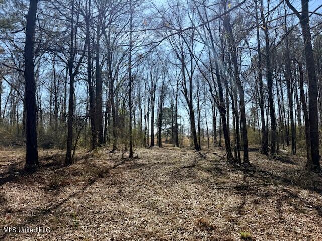 Northwest Boyd Trail Northwest Brookhaven, MS 39601 - Photo 56 of 59 IMG_7735