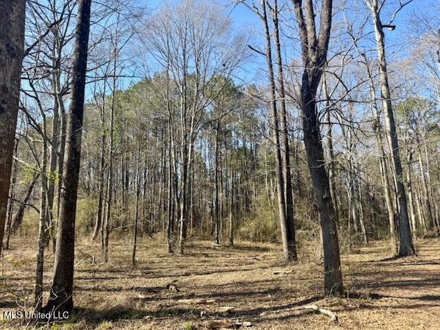 Northwest Boyd Trail Northwest Brookhaven, MS 39601 - Photo 6 of 59 IMG_7681