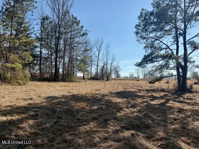 Northwest Boyd Trail Northwest Brookhaven, MS 39601 - Photo 7 of 59 IMG_7682