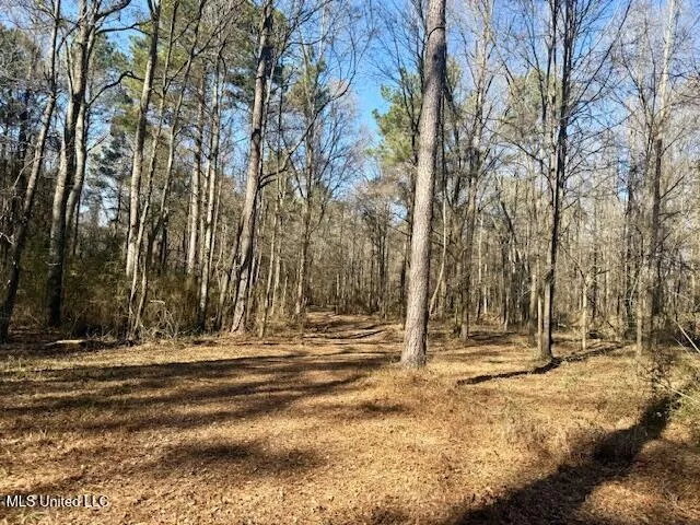 $175,000 | Northwest Boyd Trail Northwest, Brookhaven, MS 39601