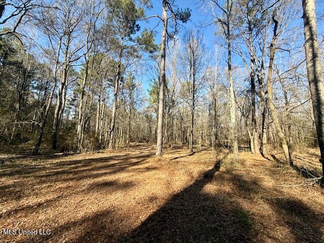 Northwest Boyd Trail Northwest Brookhaven, MS 39601 - Photo 9 of 59 IMG_7684