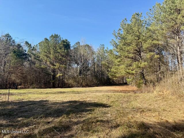 Northwest Boyd Trail Northwest Brookhaven, MS 39601 - Photo 10 of 59 IMG_7685