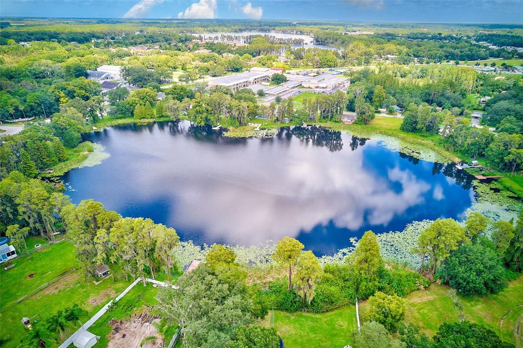 21415 Hopson Road Land O' Lakes, FL 34638 - Photo 1 of 1 Gallery Image 1