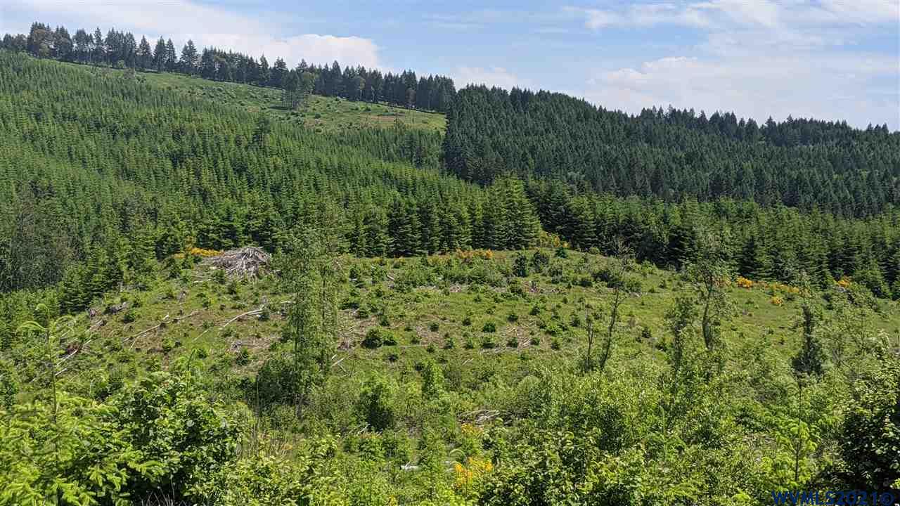 Northwest Timmerman Road Forest Grove, OR 97116 - Photo 1 of 17 Gallery Image 1