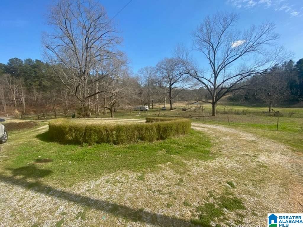 3154 Taylors Mill Road Talladega, AL 35160 - Photo 39 of 46