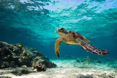 $1,070,000 | 75-4117 Kamalii, Kailua-Kona, HI 96740