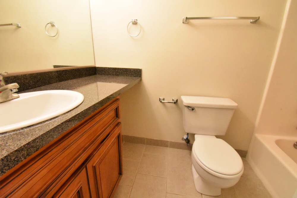 1330 Brook Street, Unit M St. Charles, IL 60174 - Photo 9 of 11 a bathroom with a granite countertop toilet and a sink