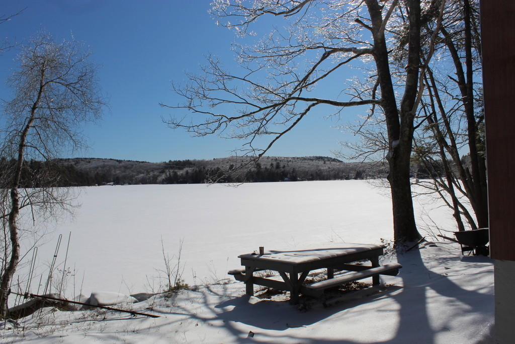 39 Sherman Road Liberty, ME 04949 - Photo 15 of 15 View winter