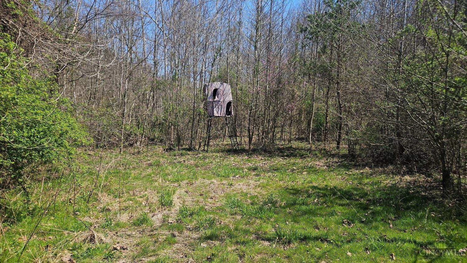0 Spruce Hollow Road South Webster, OH 45682 - Photo 10 of 54