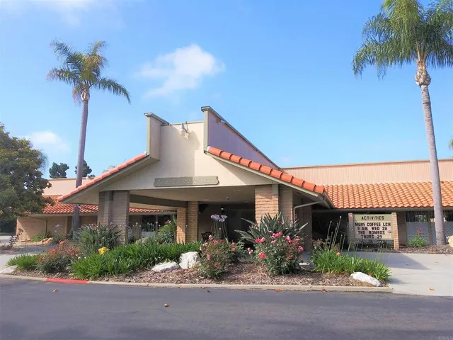a view of a potted plants next to a road