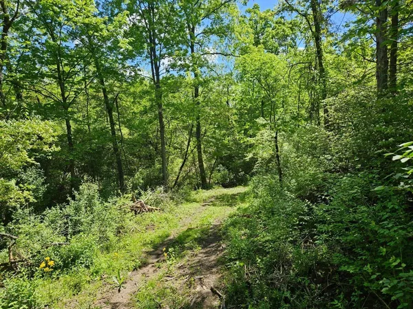 $320,000 | 0 Eugene Court, Lawrenceburg, IN 47025