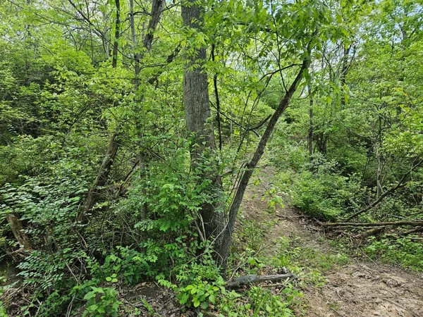 $320,000 | 0 Eugene Court, Lawrenceburg, IN 47025