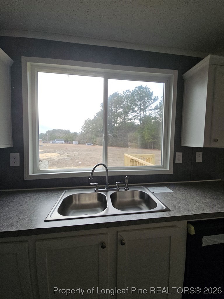 1438 Twisted Hickory Road Elizabethtown, NC 28337 - Photo 5 of 15 a sink sitting next to a window