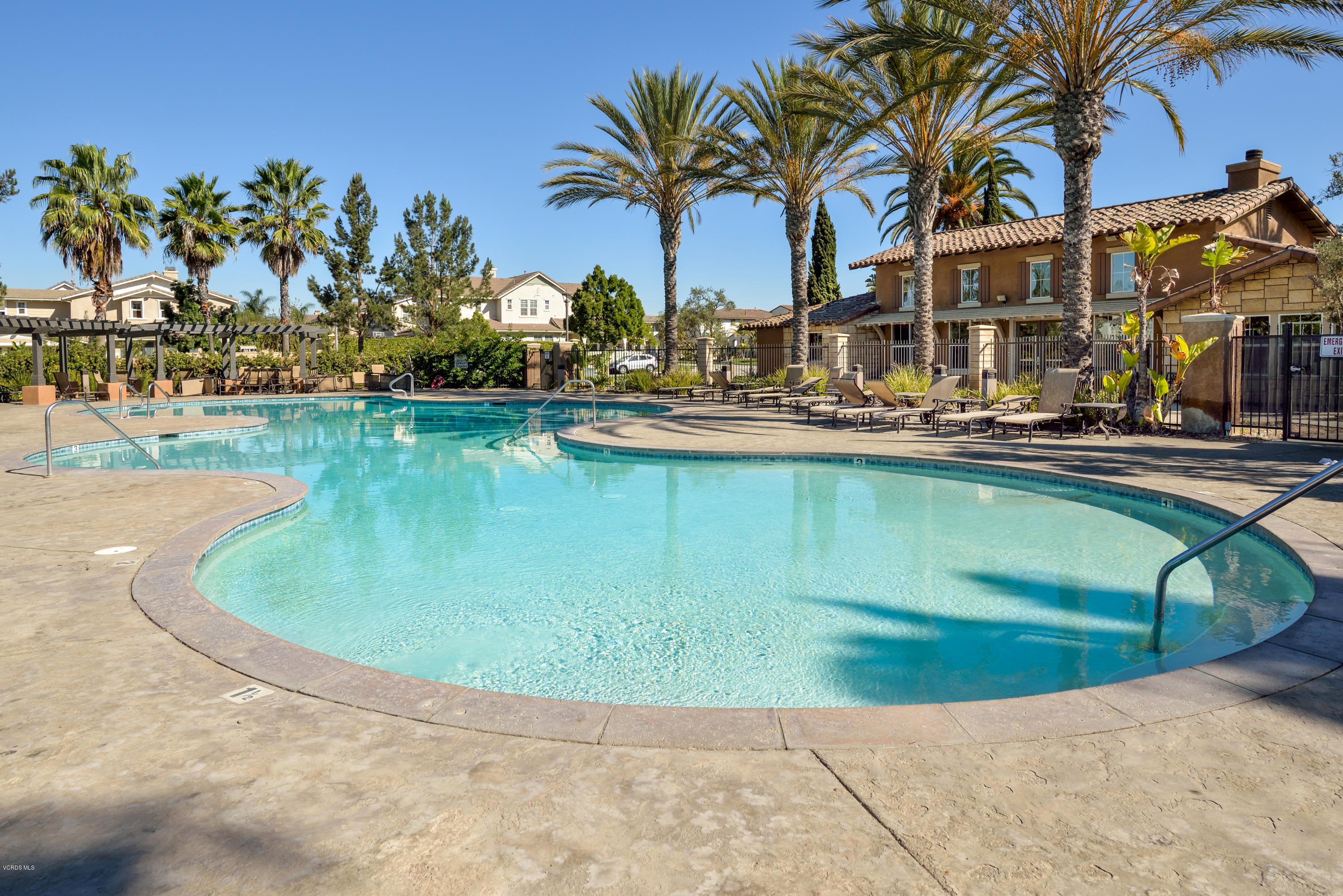 310 Spring Park Road Camarillo, CA 93012 - Photo 47 of 48 a view of a swimming pool with a lawn chairs under palm trees
