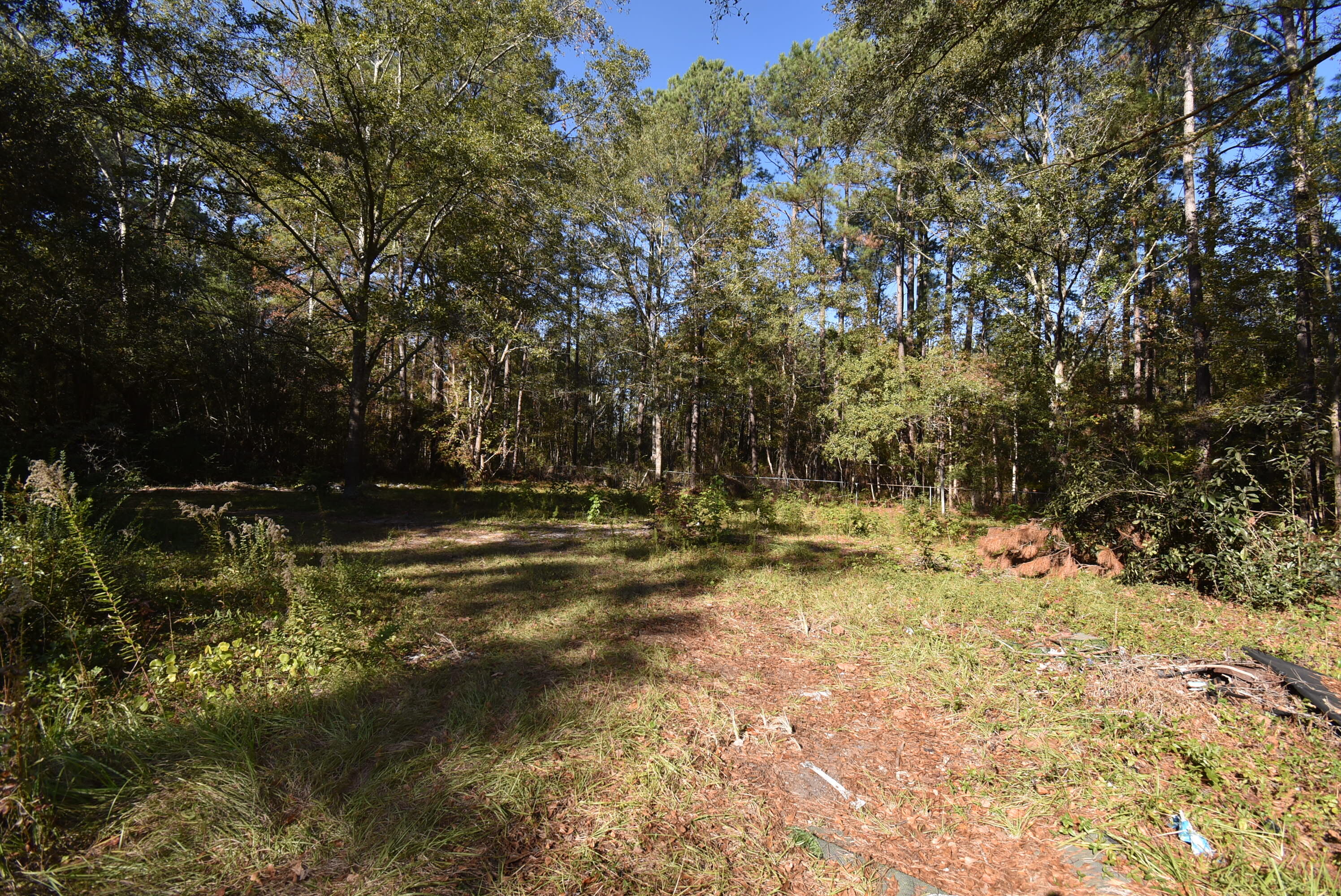 71 Jared Road Walterboro, SC 29488 - Photo 6 of 8 DSC_0820