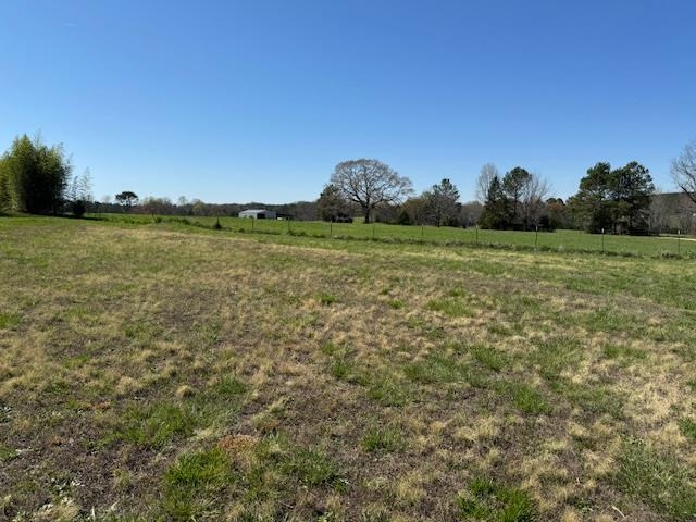 849 Bob Little Road Jonesville, SC 29353 - Photo 20 of 24 Gallery Image 20