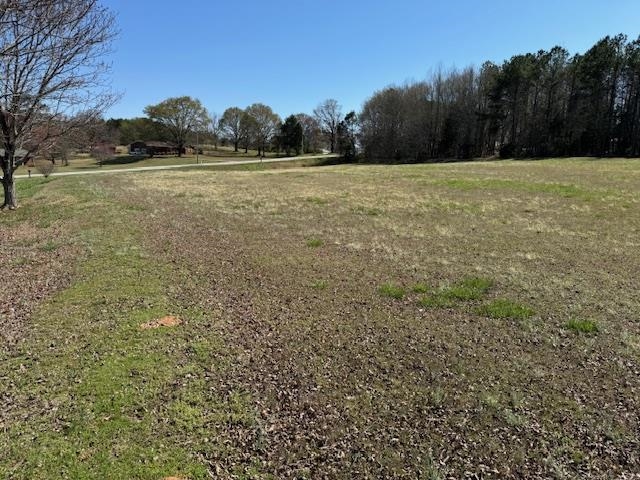 849 Bob Little Road Jonesville, SC 29353 - Photo 23 of 24 Gallery Image 23