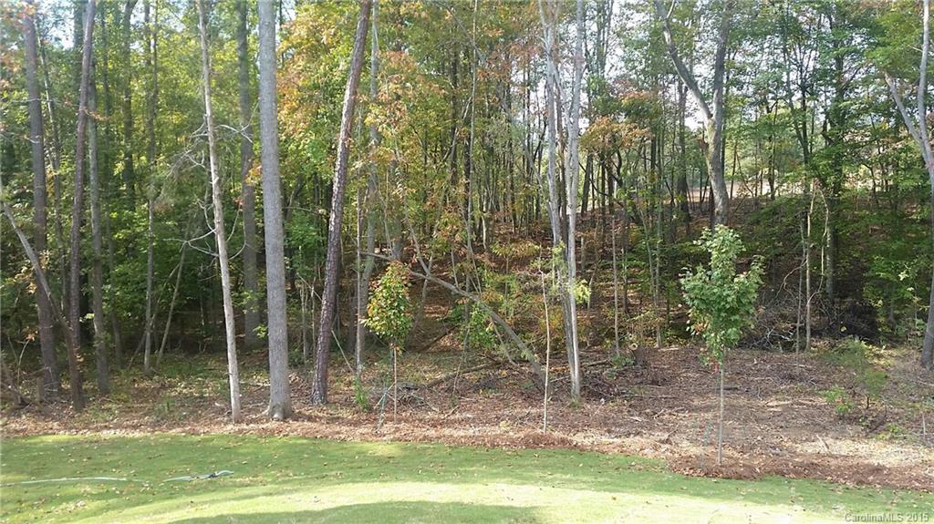 720 Chase Court, Unit 123 Fort Mill, SC 29708 - Photo 4 of 19 a view of a house with a yard