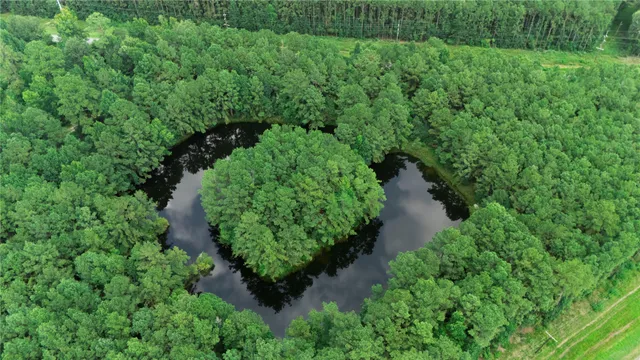 an aerial view of residential house with outdoor space and trees all around
