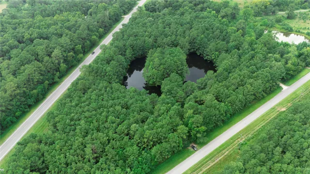 a view of a garden from a balcony