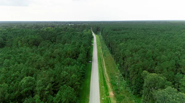 a view of a lush green forest with lots of trees