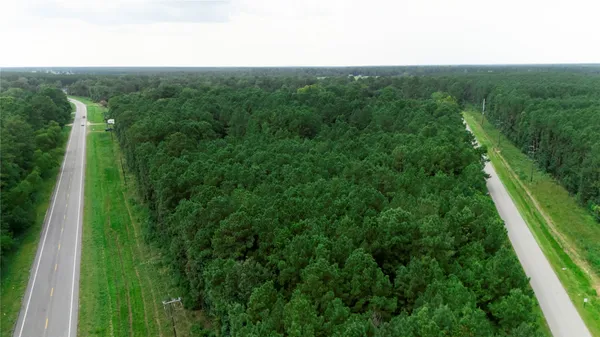 a view of a forest with a street