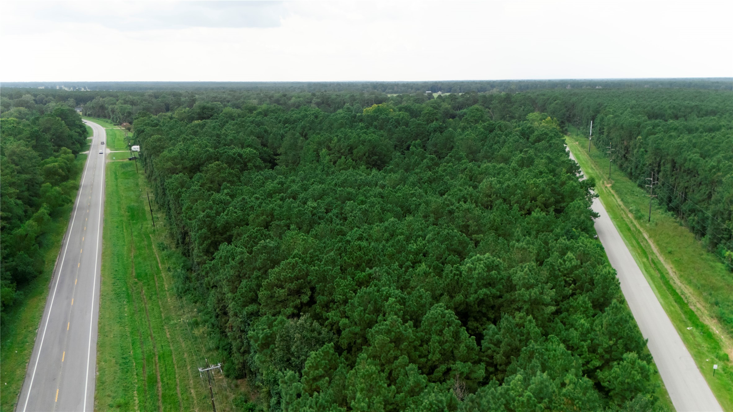 834 Farm To Market 834 Hull, TX 77564 - Photo 7 of 7 a view of a forest with a street