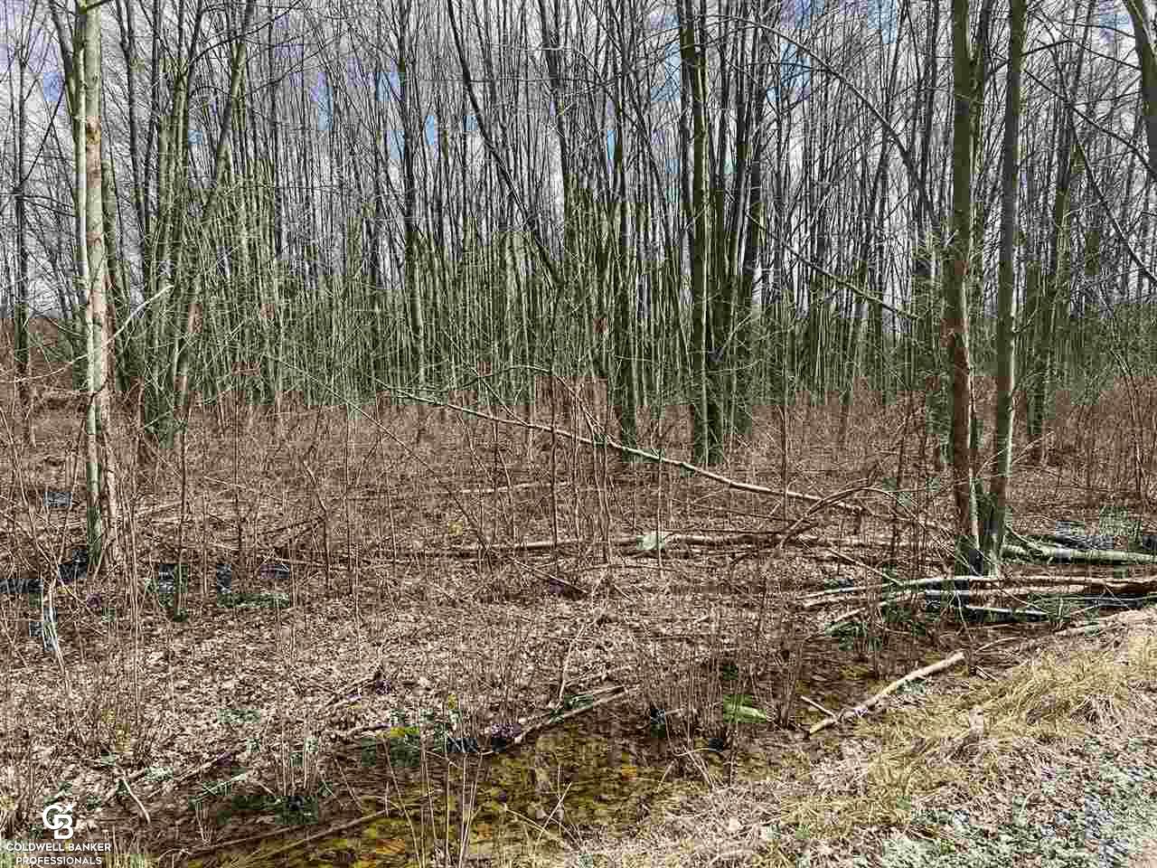 1 Gleason Road Emmett, MI 48022 - Photo 5 of 5