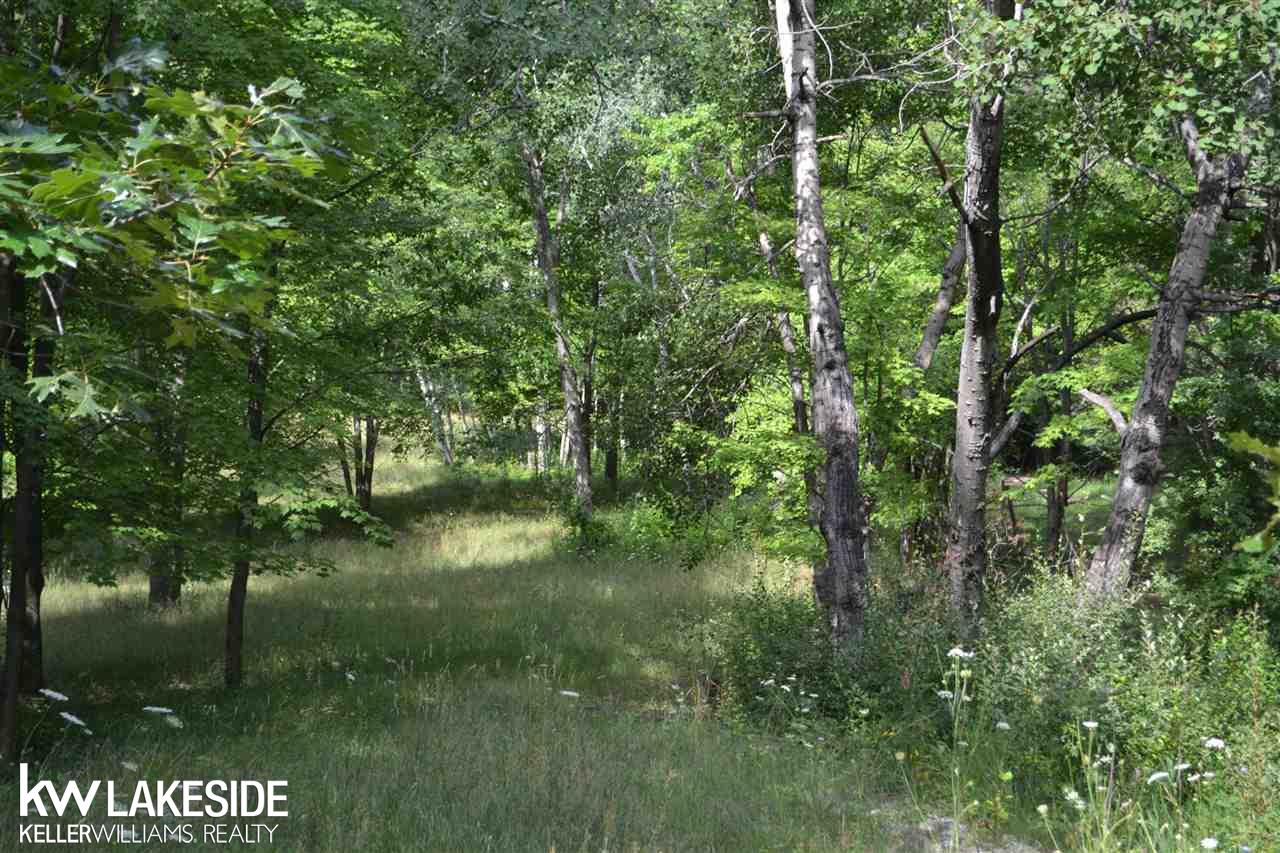 0 Lassier Romeo, MI 48065 - Photo 1 of 4