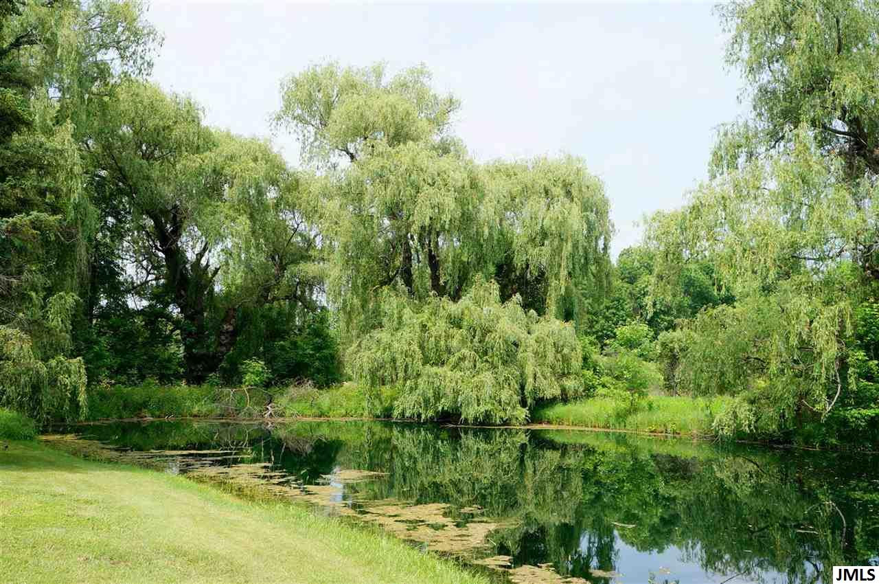 6933 Clark Lake Road Jackson, MI 49201 - Photo 25 of 34 Photo 25