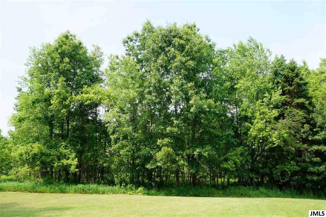 6933 Clark Lake Road Jackson, MI 49201 - Photo 31 of 34 Photo 31