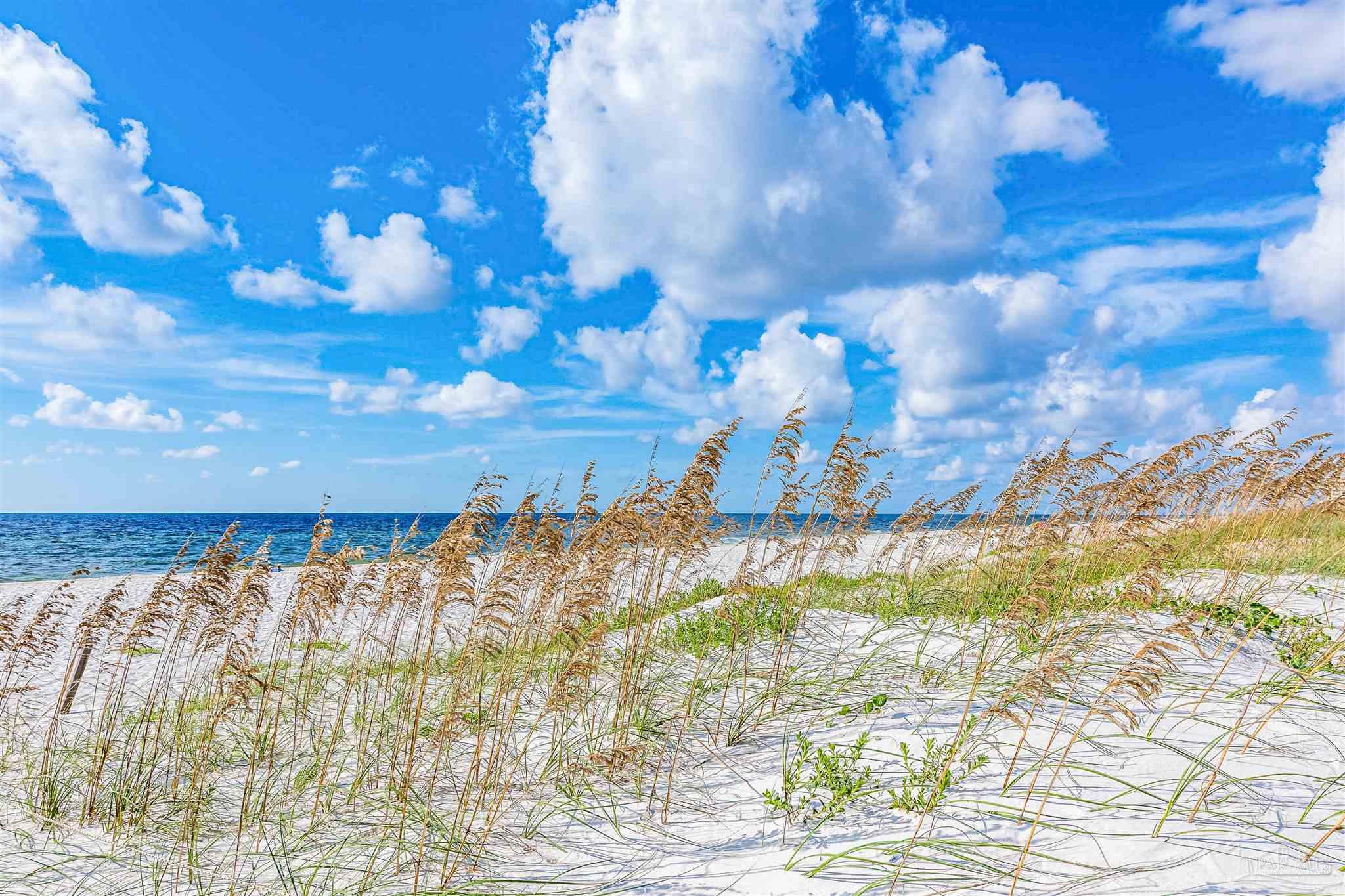 14580 Perdido Key Drive, Unit C3 Perdido Key, FL 32507 - Photo 17 of 17 a view of a lake