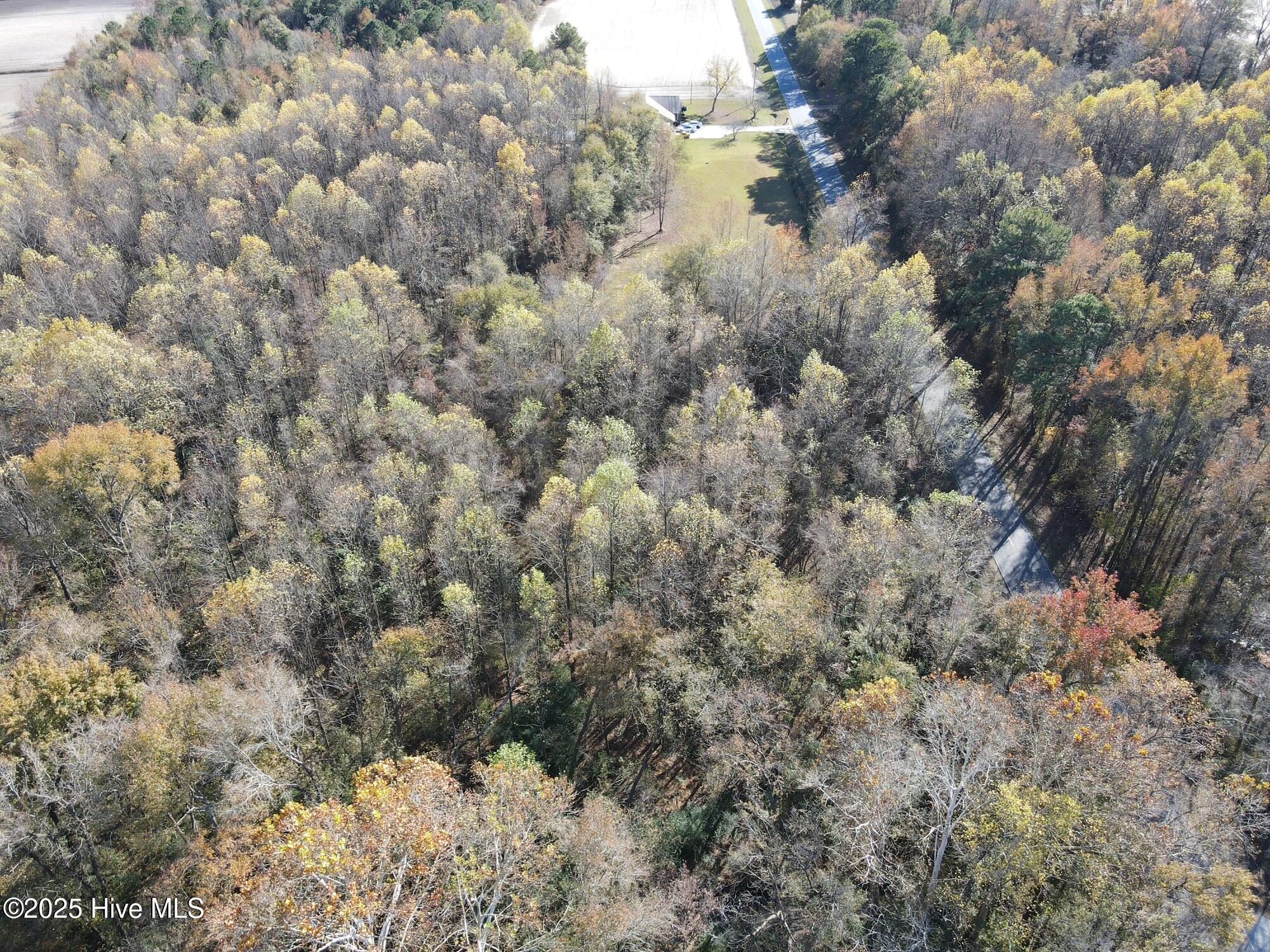Looking south