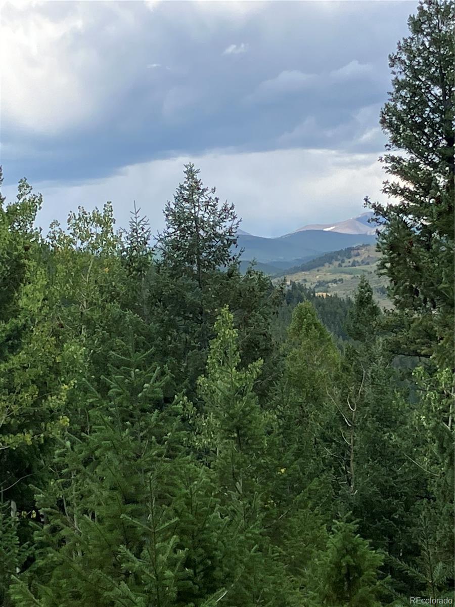 7 Miners Road Black Hawk, CO 80422 - Photo 1 of 7