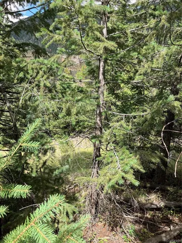 $32,000 | 7 Miners Road, Black Hawk, CO 80422