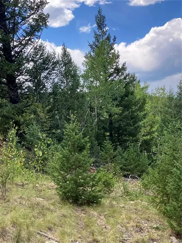 $32,000 | 7 Miners Road, Black Hawk, CO 80422