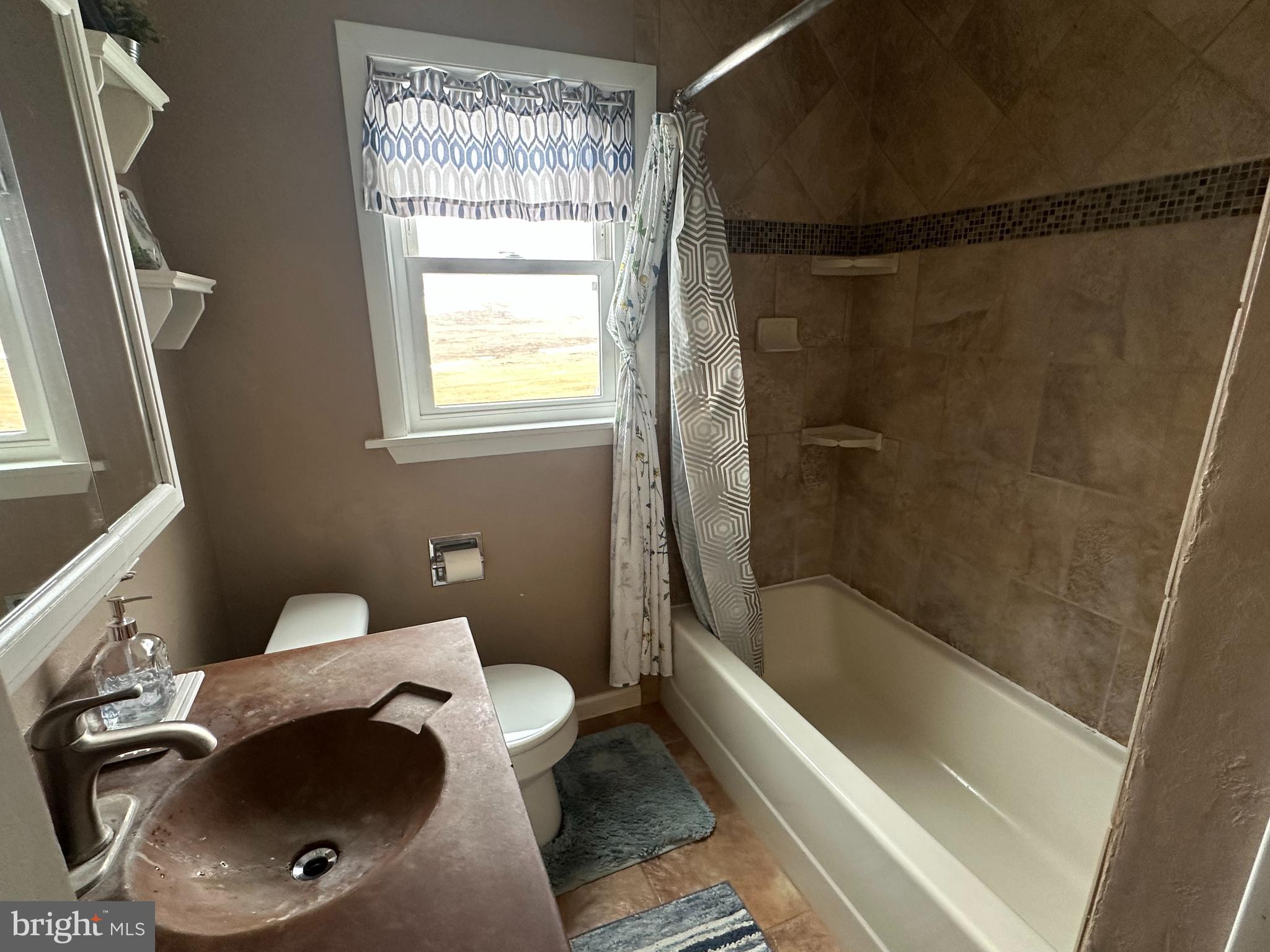 123 Ridge Avenue Centre Hall, PA 16828 - Photo 24 of 37 a bathroom with a sink and a bathtub