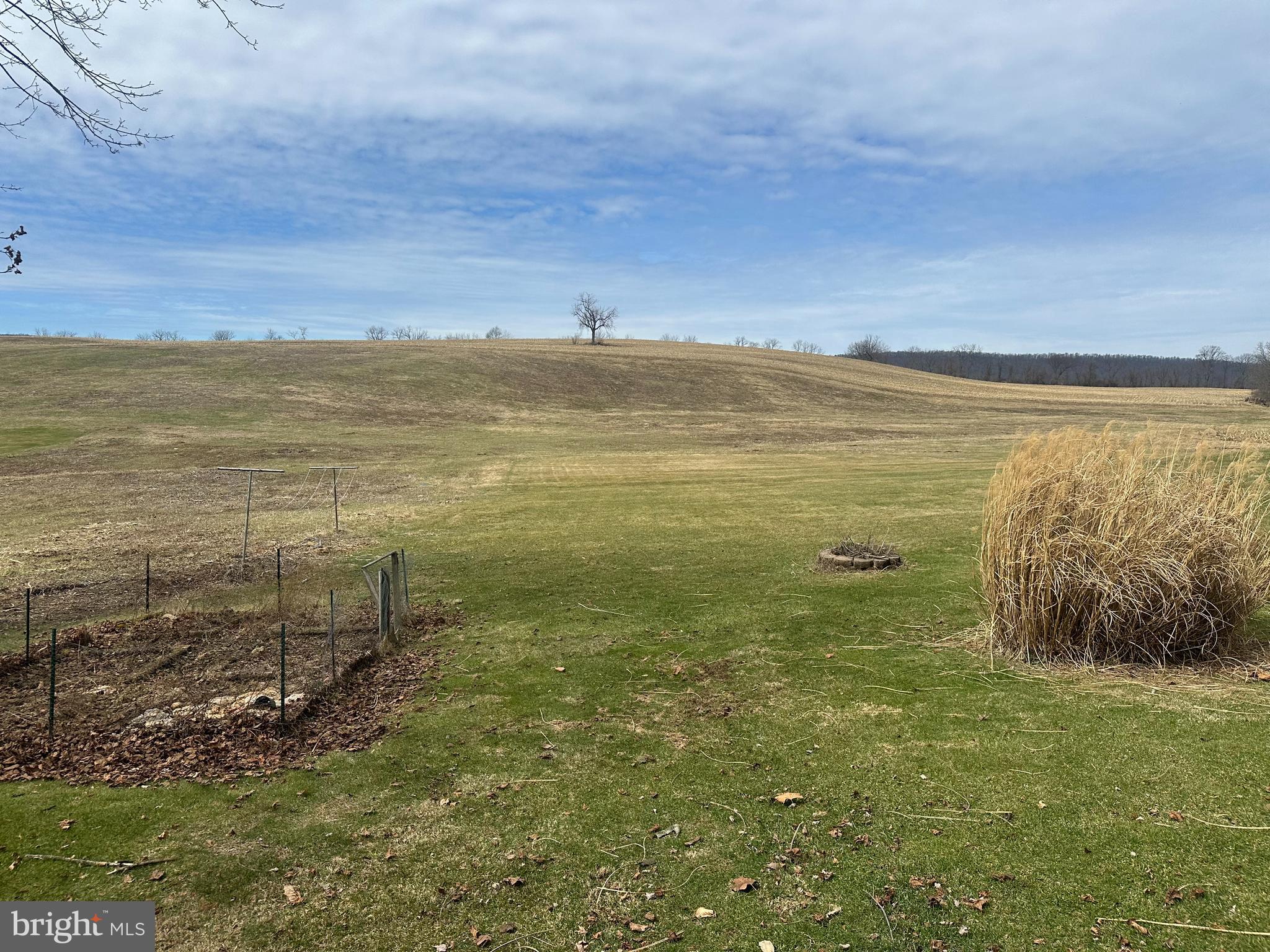 123 Ridge Avenue Centre Hall, PA 16828 - Photo 36 of 37 a view of an ocean from a yard