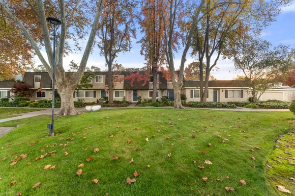 a view of a swimming pool and trees in the background